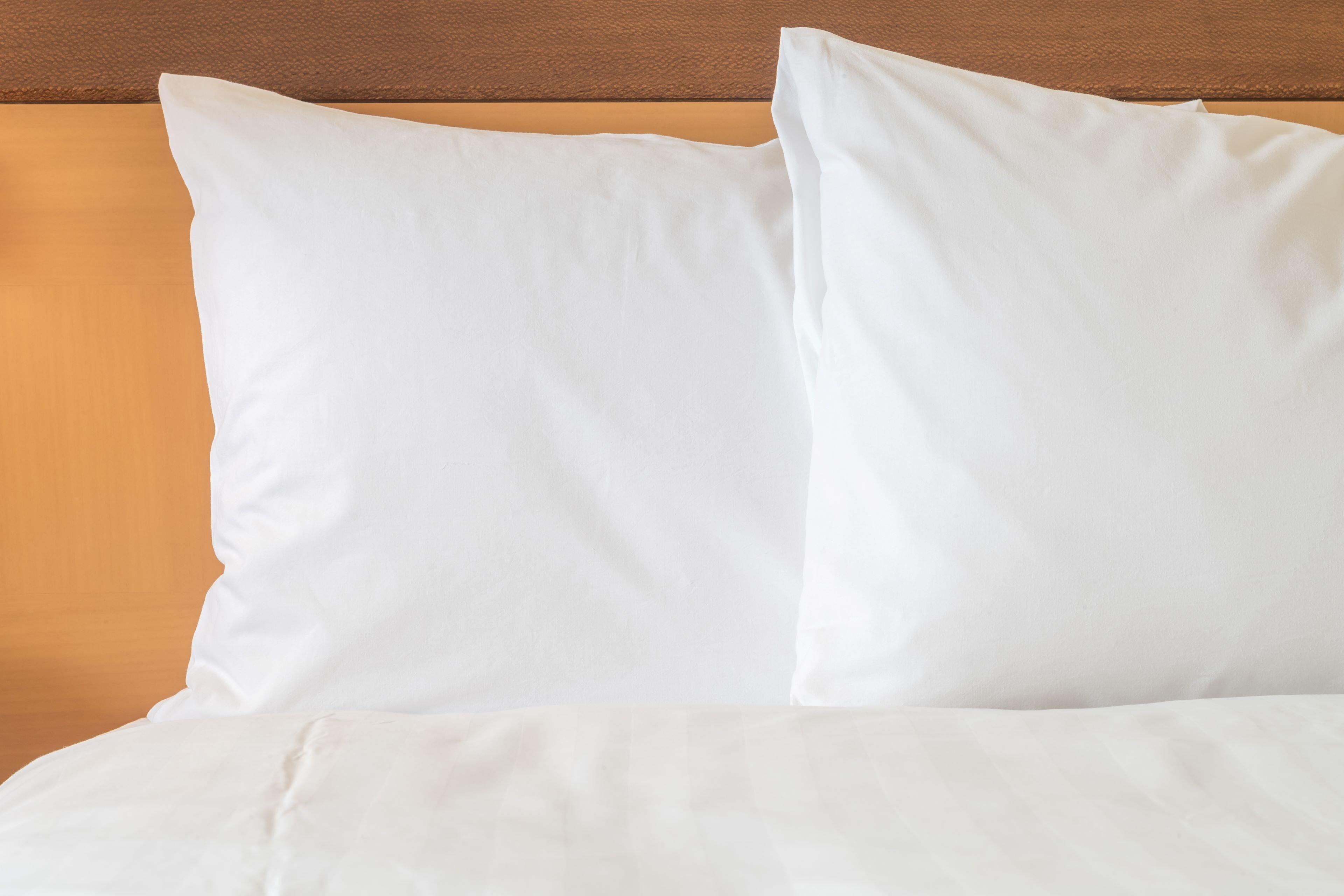 Holiday Inn Express Campbellsville By Ihg Extérieur photo
